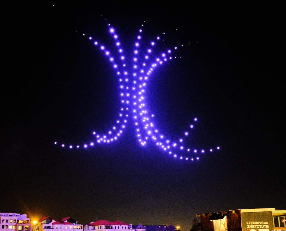 Biennale Ilona McGuire