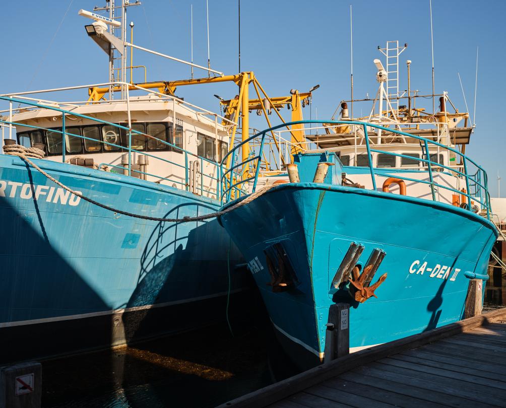 Fishing Boats at Fremantle Fishing Boat Harbour